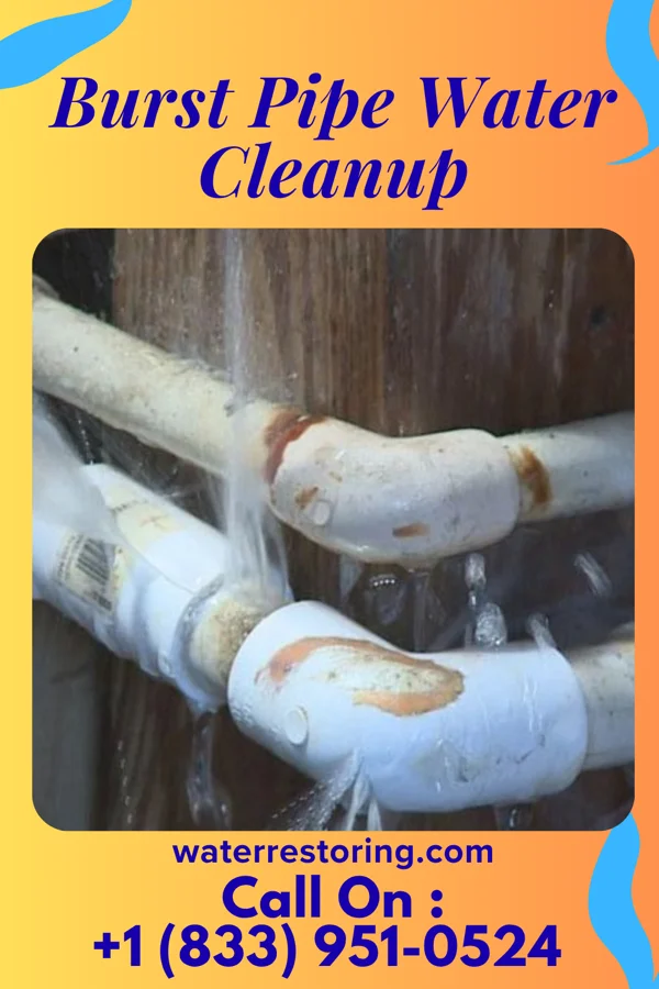 Burst Pipe Water Cleanup in Eaton Estates, OH