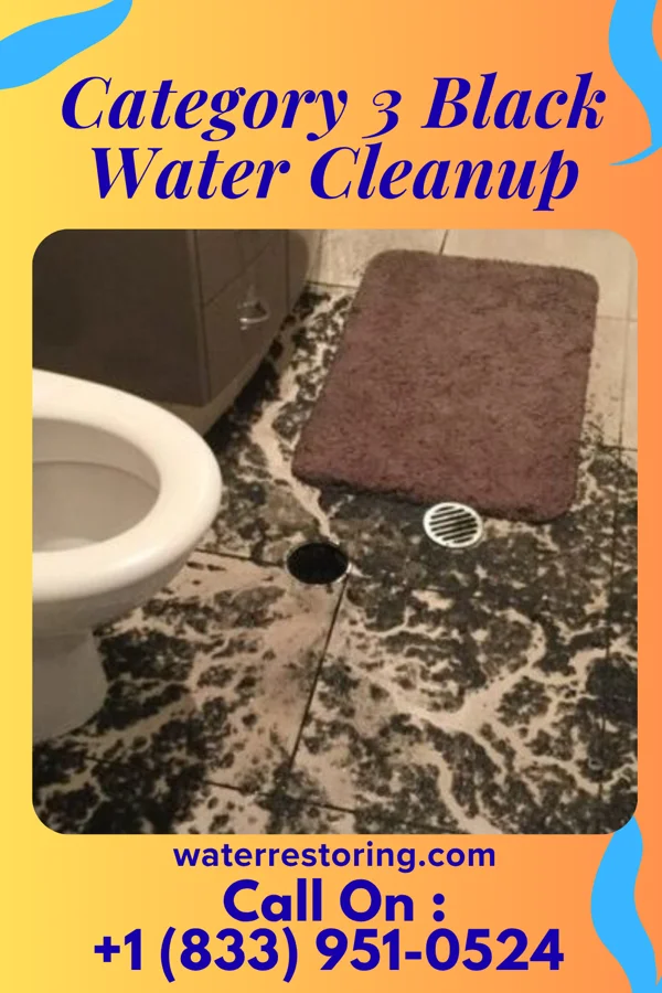 Category 3 Black Water Cleanup in Eaton Estates, OH