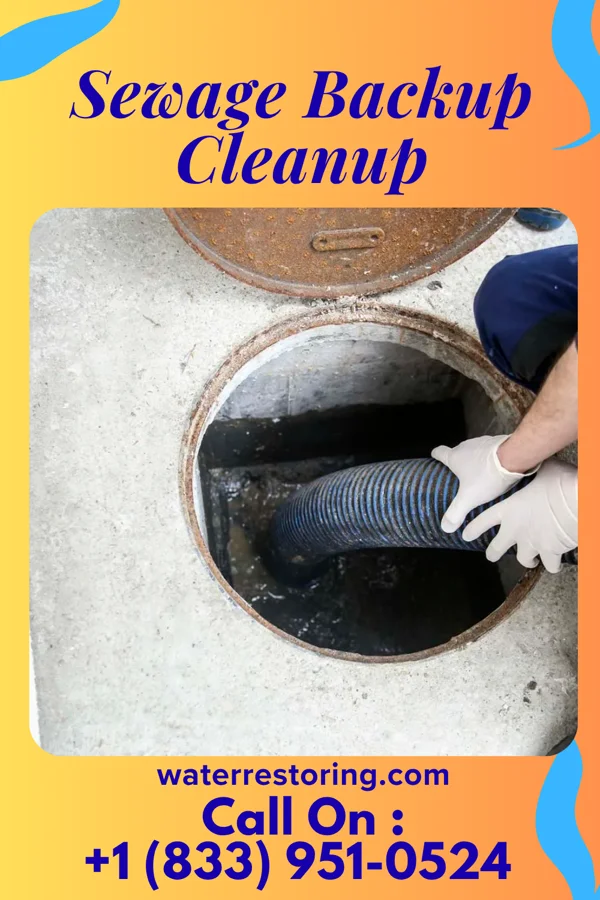 Sewage Backup Cleanup in Eaton Estates, OH