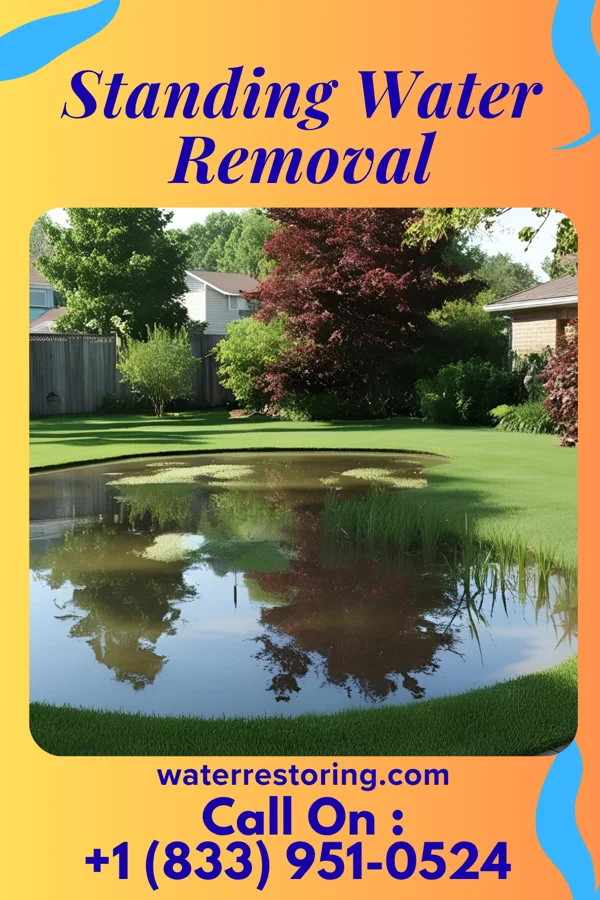 Standing Water Removal in Eaton Estates, OH